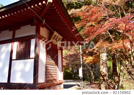 岐阜縣伊備川町橫倉路書店和紅葉 岐阜縣伊備川町橫倉路書店和紅葉 92158902
