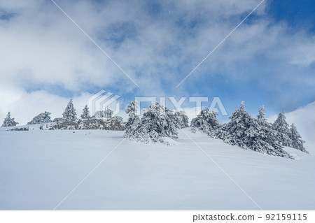 Snow covered forest on top of mountain Ai-Petri after blizzard. Crimea Snow covered forest on top of mountain Ai-Petri after blizzard. Crimea 92159115