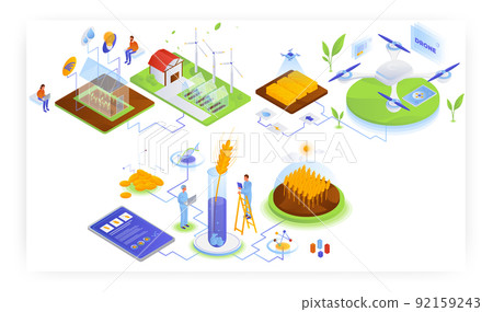 Farming industry, vector isometric illustration. Smart greenhouse, Iot. Genetically modified wheat. Agricultural drone. 92159243
