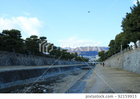 Scenery of the river flowing through the streets of Japan: A row of pine trees on the Ashiya River in Ashiya City, Hyogo Prefecture 92159913