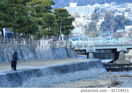 Scenery of the river flowing through the streets of Japan: A row of pine trees on the Ashiya River in Ashiya City, Hyogo Prefecture Scenery of the river flowing through the streets of Japan: A row of pine trees on the Ashiya River in Ashiya City, Hyogo Prefecture 92159915