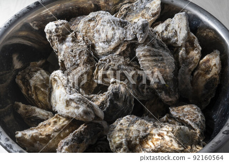 Fresh and delicious oysters Fresh and delicious oysters 92160564