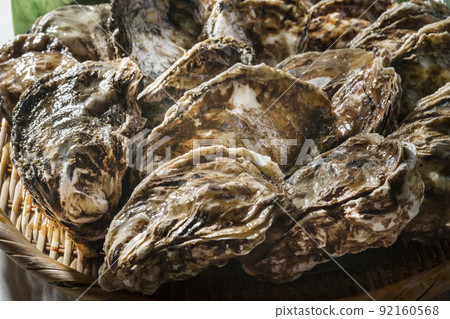 Fresh and delicious oysters 92160568