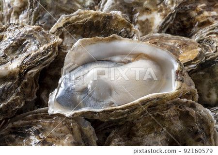 Fresh and delicious oysters Fresh and delicious oysters 92160579