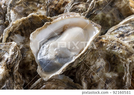 Fresh and delicious oysters Fresh and delicious oysters 92160581