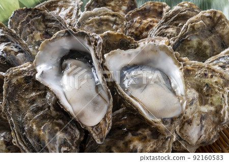 Fresh and delicious oysters 92160583