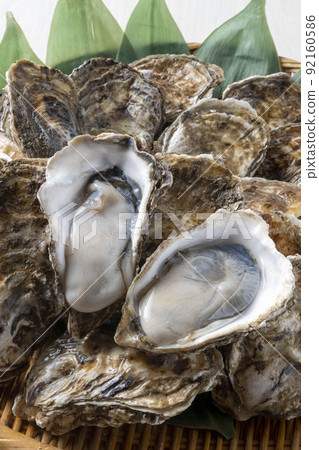 Fresh and delicious oysters Fresh and delicious oysters 92160586