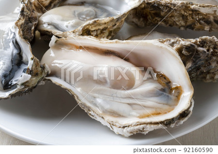 新鮮美味的生蠔 92160590