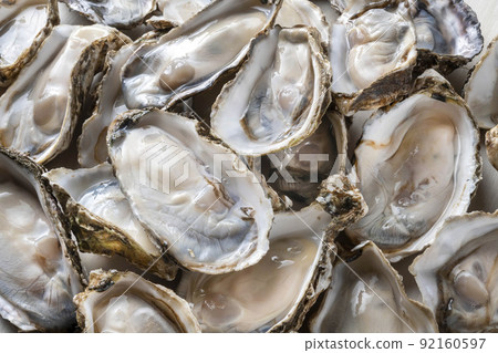 Fresh and delicious oysters 92160597