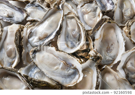 Fresh and delicious oysters 92160598