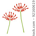 Cluster amaryllis retro vector illustration 92160619