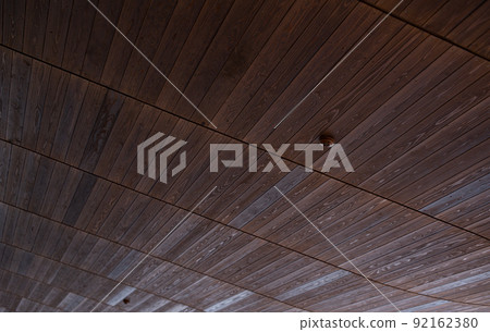 Tree ceiling Tree ceiling 92162380