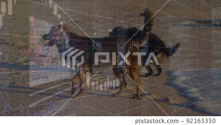 Image of data processing over dogs Image of data processing over dogs 92163350