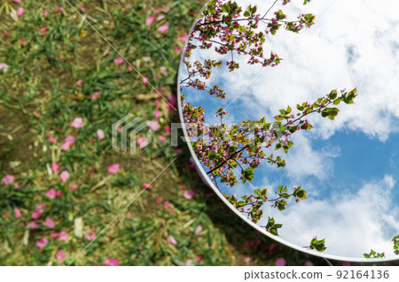 cherry tree blossoms reflection in round mirror 92164136