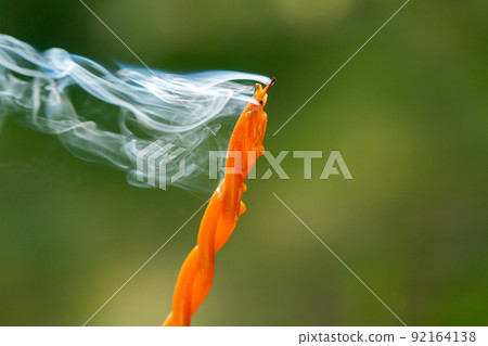 close up of smoking swirl candle in forest 92164138