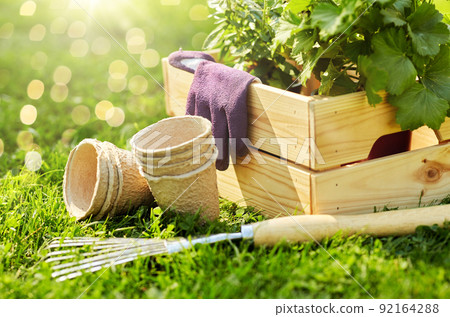 garden tools and flowers in wooden box at summer garden tools and flowers in wooden box at summer 92164288