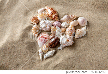 different sea shells on beach sand different sea shells on beach sand 92164292