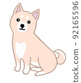 一隻可愛的日本狗的插圖 92165596