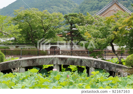 Scenery of the pond at Tenryu-ji Temple in summer Scenery of the pond at Tenryu-ji Temple in summer 92167163