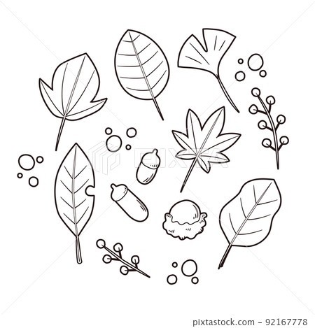 Line drawing illustration set of cute autumn flowers Line drawing illustration set of cute autumn flowers 92167778