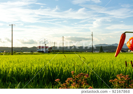 靜岡縣掛川市細谷天龍濱名湖鐵道及沿線風景 92167868