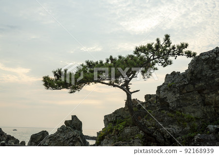 Jigyeong-ri, Jusangjeol-ri, Gyeongju-si, Gyeongbuk 92168939