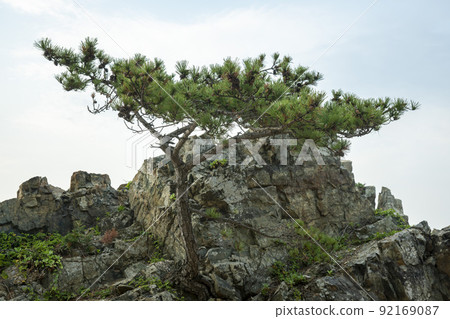 Jigyeong-ri, Jusangjeol-ri, Gyeongju-si, Gyeongbuk Jigyeong-ri, Jusangjeol-ri, Gyeongju-si, Gyeongbuk 92169087