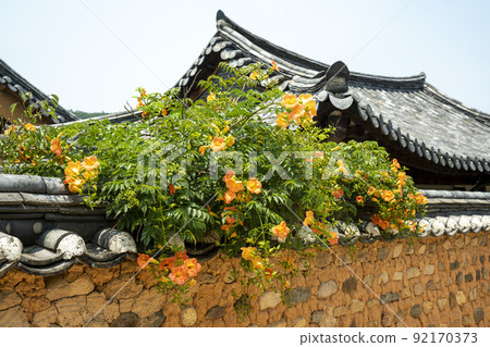 Laxification Laxification 92170373