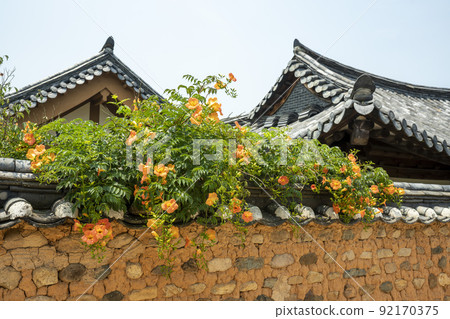 Laxification 92170375