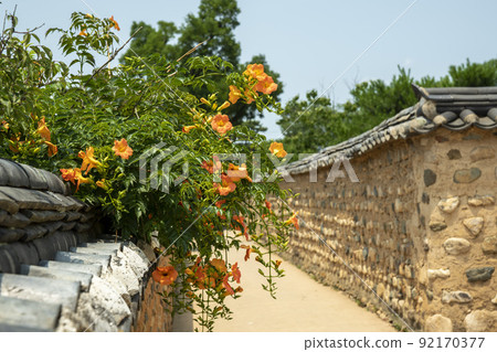 Laxification 92170377