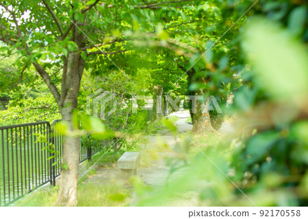 京都二王門大道 京都二王門大道 92170558