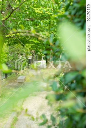 京都二王門大道 京都二王門大道 92170559