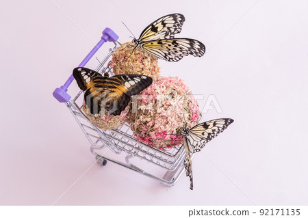 Butterflies in a shopping cart. The concept of buying butterflies. The concept of easy and beautiful purchases. Discounts Butterflies in a shopping cart. The concept of buying butterflies. The concept of easy and beautiful purchases. Discounts 92171135