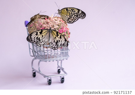 Butterflies in a shopping cart. The concept of buying butterflies. The concept of easy and beautiful purchases. Discounts Butterflies in a shopping cart. The concept of buying butterflies. The concept of easy and beautiful purchases. Discounts 92171137