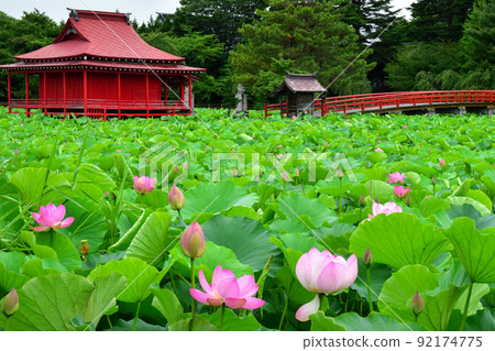 夏天的薩魯加公園 夏天的薩魯加公園 92174775