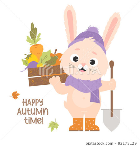 Cute bunny in rubber boots with vegetable harvest box, carrots and gardening tool with shovel. Poster Happy autumn time. Vector illustration for cards, design and decoration of farm harvest themes. Cute bunny in rubber boots with vegetable harvest box, carrots and gardening tool with shovel. Poster Happy autumn time. Vector illustration for cards, design and decoration of farm harvest themes. 92175129