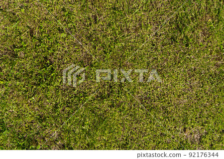 綠色草坪背景素材 綠色草坪背景素材 92176344