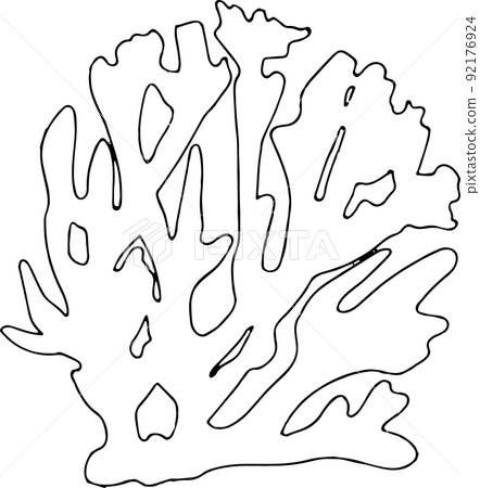 Sea shell outline sketch isolated on white. Linear simple vector illustration 92176924