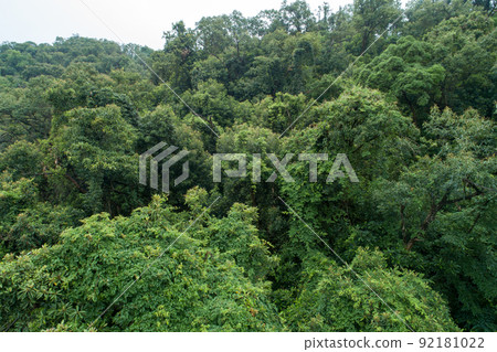 Aerial view of beautiful forest mountain landscape Aerial view of beautiful forest mountain landscape 92181022