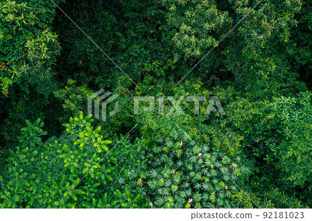 Aerial view of beautiful forest mountain landscape Aerial view of beautiful forest mountain landscape 92181023