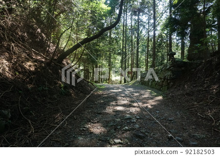走在比叡山延歷寺的山路上 92182503