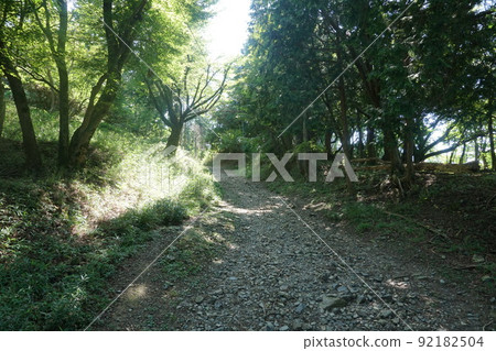 沿著比叡山延歷寺山路散步 92182504
