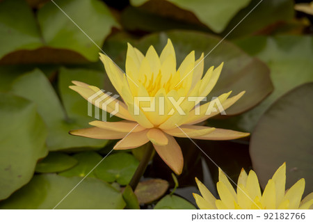 training training 92182766