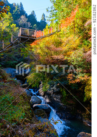 大柳川峽谷（秋季）：龍神橋 92182862