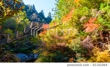 大柳川峽谷（秋季）：龍神橋 92182864