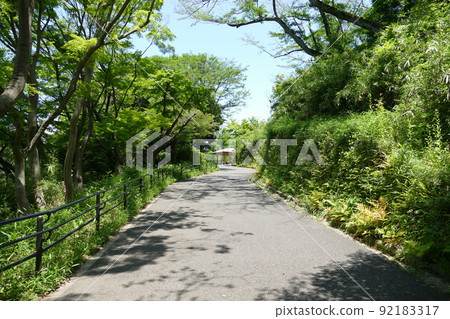 Kanagawa Prefectural Mitsuike Park Tsurumi Ward, Yokohama City General Park Three ponds in the park TV Radio Radio Tower May 4th Kanagawa Prefectural Mitsuike Park Tsurumi Ward, Yokohama City General Park Three ponds in the park TV Radio Radio Tower May 4th 92183317