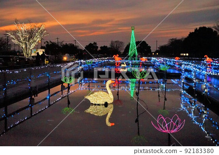 Ancient lotus village illuminations swan ancient lotus 92183380