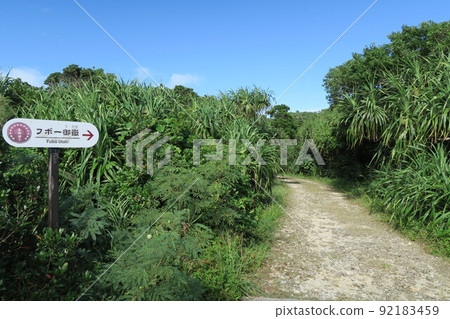 Scenery of Kudaka Island Okinawa Scenery of Kudaka Island Okinawa 92183459