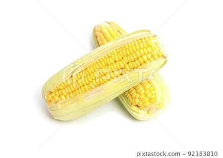 Two ear of sweet corn isolated on white background. Two ear of sweet corn isolated on white background. 92183810
