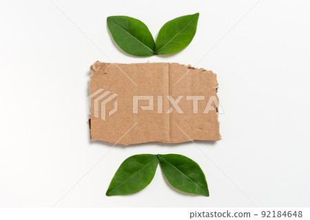 Blank Paper Arranged With Leaves Representing Business Promotion. Empty Rectangular Frame With Fresh Botany Decorated For Business Template And Advertisement. Blank Paper Arranged With Leaves Representing Business Promotion. Empty Rectangular Frame With Fresh Botany Decorated For Business Template And Advertisement. 92184648